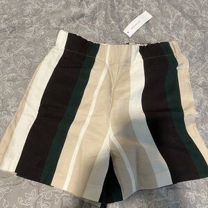 Ann Taylor Shorts